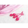 Вагинальные шарики со смещенным центром тяжести SVAKOM NOVA BALL SSYB-PMR